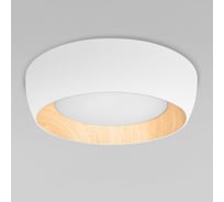 Потолочный светильник LOFT IT Folk 10255/500 White