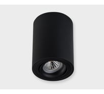 Накладной потолочный светильник Italline M02-85115 black