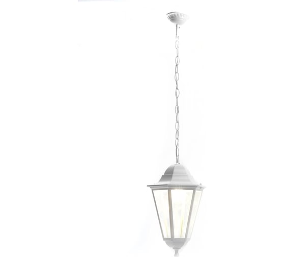 Садово-парковый светильник FERON 100W 230V E27 белый, 6205/PL6205 (на цепочке 500мм), 11071