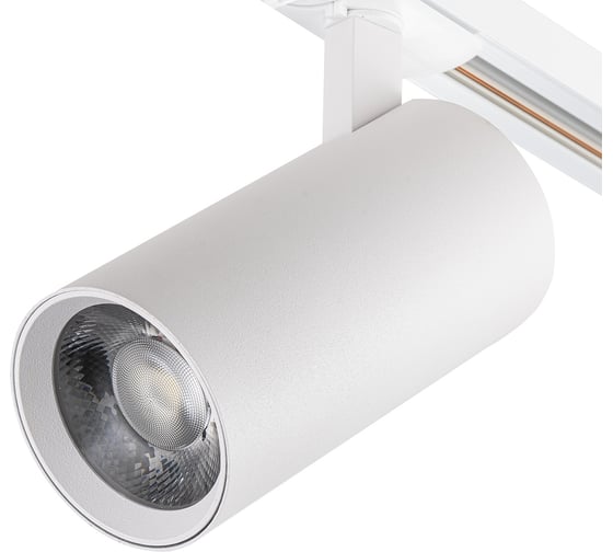 Светодиодный светильник для трековой системы ESCADA 20002TRA/01 LED 10W 4000K белый матовый 20002TRA/01LED SWH