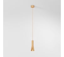 Светильник подвесной светодиодный Elektrostandard Pino 5W 4000K золотой a067972