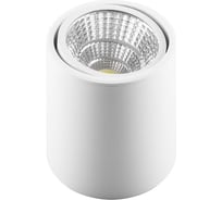 Поворотный светодиодный светильник FERON AL516, 10W, 800Lm, 4000K, белый 29575