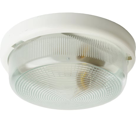 Накладной светильник FERON НБО 05-100-001 IP44, 220V, 100Вт, Е27 41403