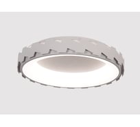 Потолочный светодиодный светильник MyFar Leda MR9220-CL