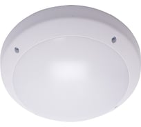 Накладной светильник FERON серии Бриз, НБУ 05-60-013 IP64, 220V, 60Вт, Е27, белый 41364