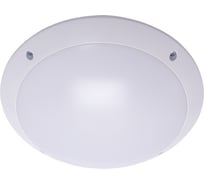 Накладной светильник FERON Альтан, ФБУ 05-2х20-001 IP64, 220V, белый 41359