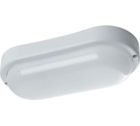 Пылевлагозащищённый светодиодный светильник FERON 12W, 900Lm, 6500K, в пластиковом корпусе 41319