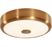 Светильник с диммером Citilux Фостер-1 LED Бронза CL706122