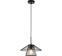 Светильник INDIGO 10016/1P Black V000286