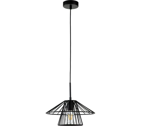 Светильник INDIGO 10016/1P Black V000286