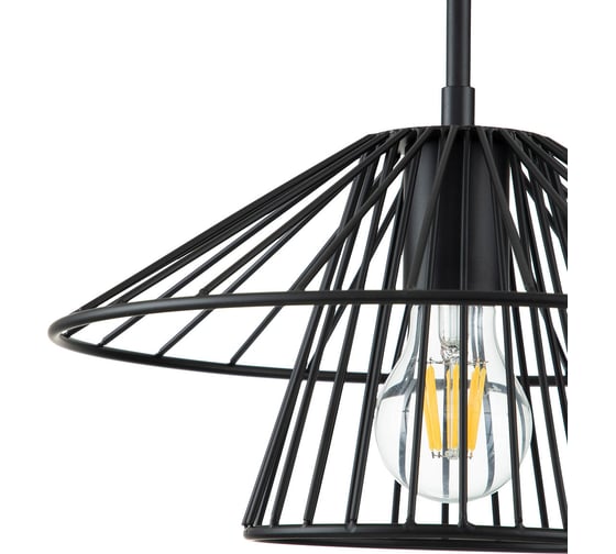 Светильник INDIGO 10016/1P Black V000286