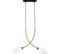 Светильник INDIGO 13001/2P Black V000140