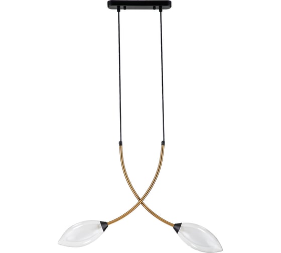 Светильник INDIGO 13001/2P Black V000140