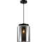 Светильник INDIGO 10023/1P Black V000504 2
