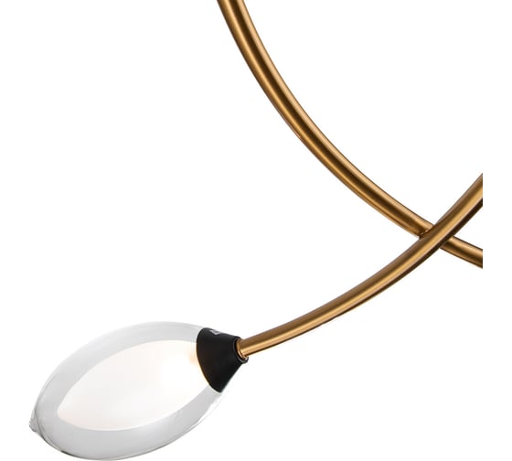 Светильник INDIGO 13001/4P Black V000141