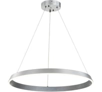 Светильник INDIGO 14019/1P Silver V000091L