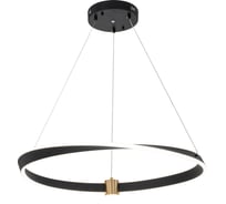 Светильник INDIGO 14014/B/1P Black V000071L