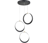 Светильник INDIGO 14014/3P Black V000072L