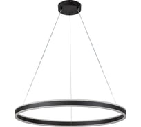 Светильник INDIGO 14001/1P Black V000036L