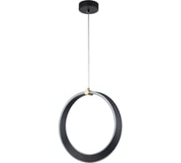 Светильник INDIGO 14014/A/1P Black V000070L