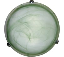 Светильник настенно-потолочный ЭЛЕТЕХ Дюна 400 НПБ 01-2x60-135 М12 зеленый /клипсы хром 1005151097