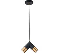 Подвесной светильник INDIGO 11036/2P Black V000451