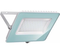 Светодиодный прожектор Geniled Lumos 50Вт 5000К 00-00006537