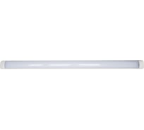 Линейный светодиодный светильник LEDPOINT длина 1200мм, 36В 6500 К IP44 TL-12/36/6500