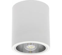 Точечный накладной светильник KANLUX NIKOR DLP-60-W Е27/ 7210