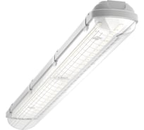 Светодиодный светильник Geniled ЛСП Standart 2х36 влагозащищенный 60Вт 5000К Прозрачный 00-00006262