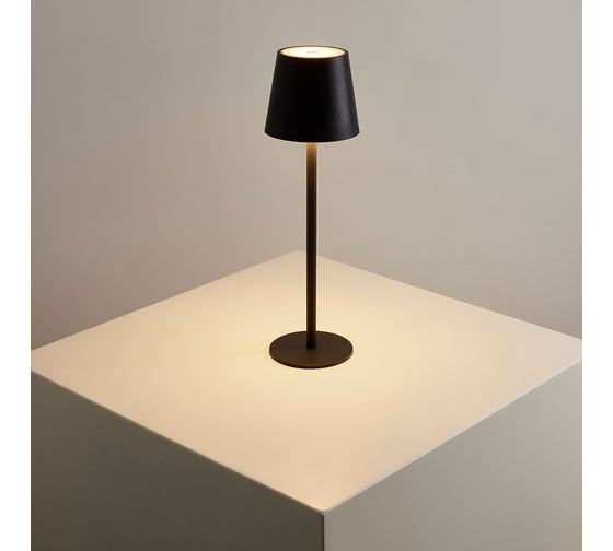Уличный настольный светильник ARTE LAMP FUYUE A1614LT-1BK