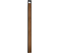 Ландшафтный светильник ARTE LAMP ARNEB A2140PA-1BR
