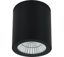 Уличный потолочный светильник ARTE LAMP TORCULAR A1813PF-1BK