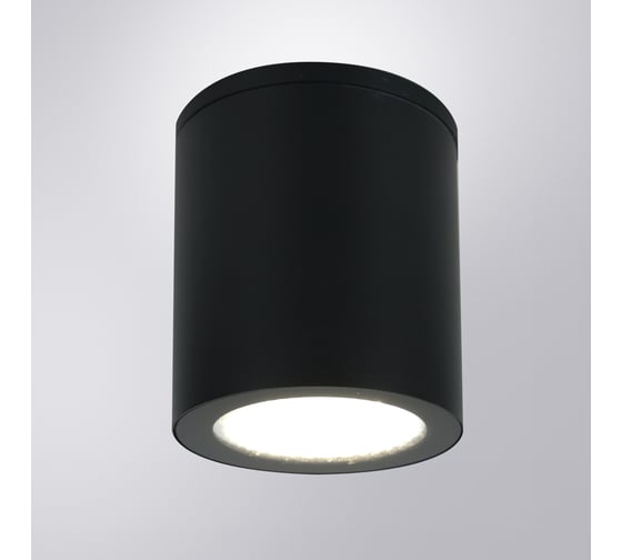 Уличный потолочный светильник ARTE LAMP TORCULAR A1813PF-1BK