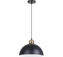 Подвесной светильник ARTE LAMP RECINTO A7053SP-1BK