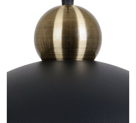 Подвесной светильник ARTE LAMP RECINTO A7053SP-1BK