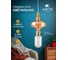 Подвесной светильник ARTE LAMP FIORATO A2442SP-10PB 2