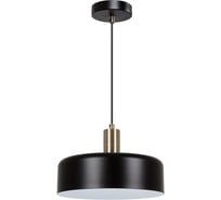 Подвесной светильник ARTE LAMP SKAT A7052SP-1BK