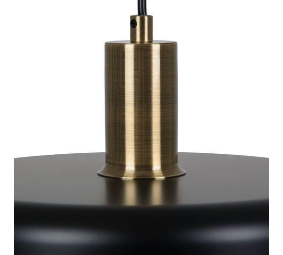 Подвесной светильник ARTE LAMP SKAT A7052SP-1BK