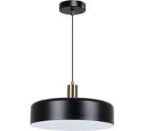 Подвесной светильник ARTE LAMP SKAT A7152SP-1BK
