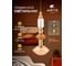 Подвесной светильник ARTE LAMP FIORATO A2442SP-16PB 2