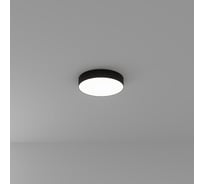 Потолочный светильник ARTE LAMP FADO A7335PL-1BK