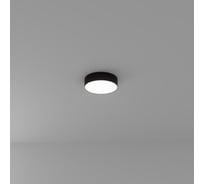 Потолочный светильник ARTE LAMP FADO A6620PL-1BK