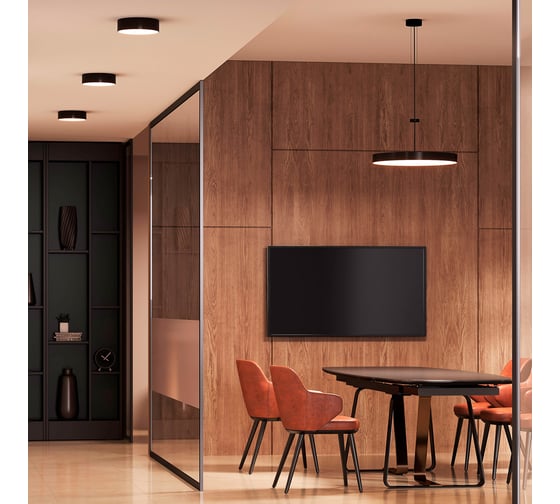 Потолочный светильник ARTE LAMP FADO A6620PL-1BK
