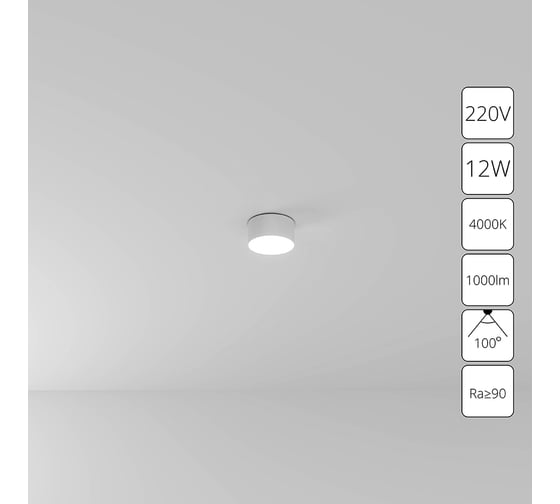 Потолочный светильник ARTE LAMP FADO A6612PL-1WH