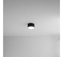 Потолочный светильник ARTE LAMP FADO A7312PL-1BK