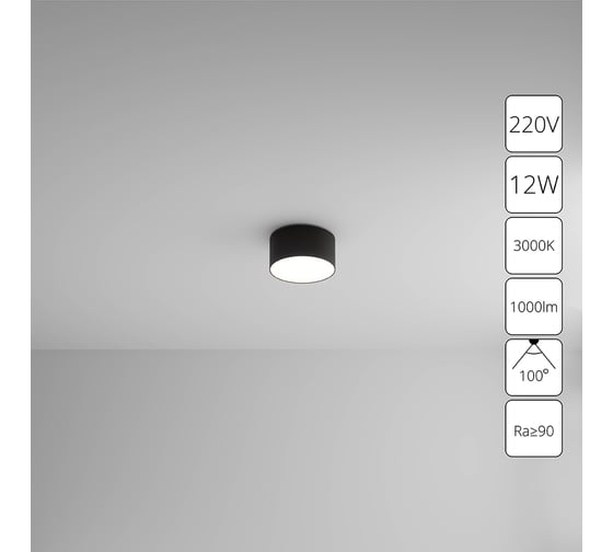 Потолочный светильник ARTE LAMP FADO A7312PL-1BK