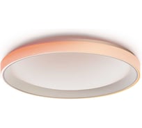 Умный потолочный светильник AQARA TM1 CL-L02D 00-01021753