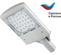 Уличный консольный светодиодный светильник Luxon Bat 55W-ECO, 6050Лм, 5000К, 130*50Гр, 220VAC 2000000000046