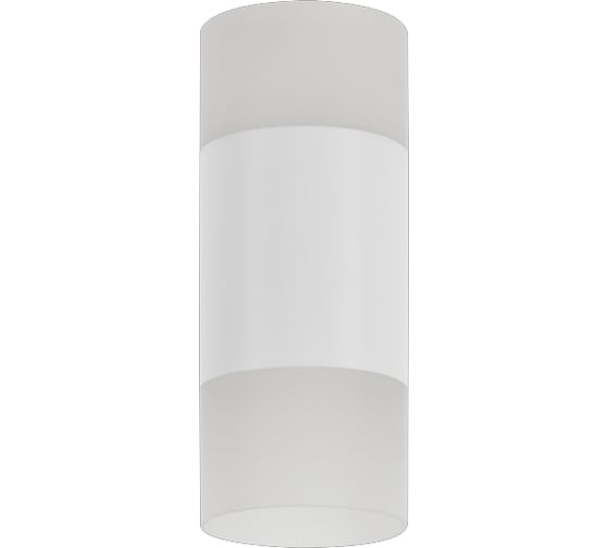 Накладной потолочный светильник Ritter RCS-65LED10W-BL ф65, COB, 7W+3W, 4000K, белый/матовое, 52063 4